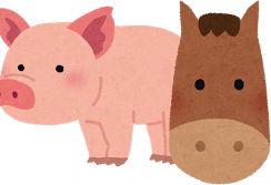 動物性プラセンタ